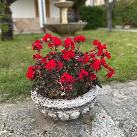 Vila Lotelito